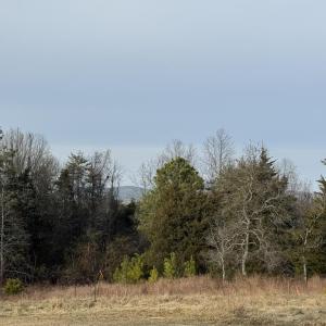 Photo #19 of Watt Abbitt Road, Appomattox, VA 42.7 acres