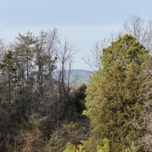 Photo #20 of Watt Abbitt Road, Appomattox, VA 42.7 acres