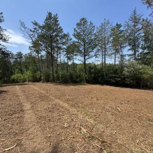 Photo #4 of Watt Abbitt Road, Appomattox, VA 42.7 acres