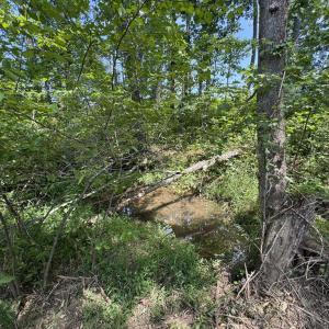 Photo #5 of Watt Abbitt Road, Appomattox, VA 42.7 acres