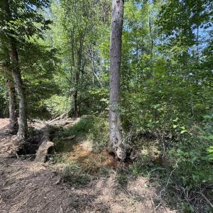 Photo #6 of Watt Abbitt Road, Appomattox, VA 42.7 acres