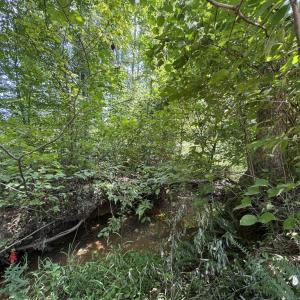 Photo #8 of Watt Abbitt Road, Appomattox, VA 42.7 acres