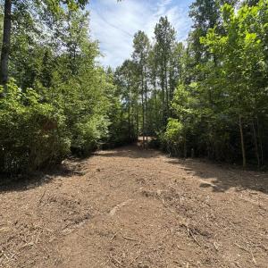 Photo #9 of Watt Abbitt Road, Appomattox, VA 42.7 acres