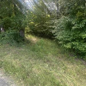 Photo #2 of Twenty- Two Road, Pamplin, VA 5.0 acres