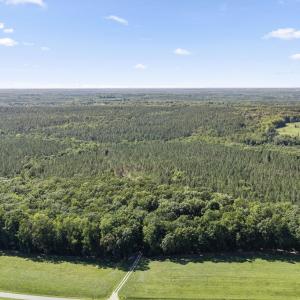 Photo #11 of Algerene Rd, Drakes Branch, VA 104.8 acres