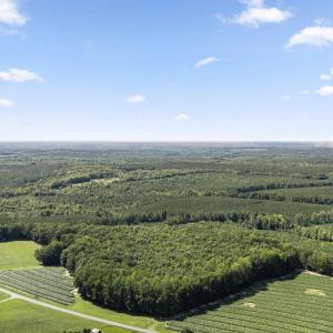 Photo #12 of Algerene Rd, Drakes Branch, VA 104.8 acres