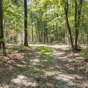 Photo #4 of Algerene Rd, Drakes Branch, VA 104.8 acres