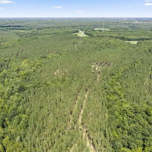 Photo #7 of Algerene Rd, Drakes Branch, VA 104.8 acres