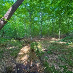 Photo #10 of 55 Mecklenburg Street, Victoria, VA 55.5 acres