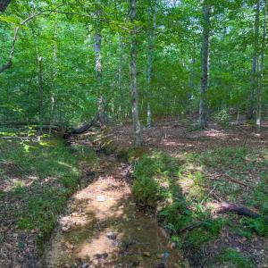Photo #11 of 55 Mecklenburg Street, Victoria, VA 55.5 acres