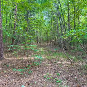 Photo #14 of 55 Mecklenburg Street, Victoria, VA 55.5 acres