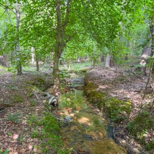 Photo #4 of 55 Mecklenburg Street, Victoria, VA 55.5 acres