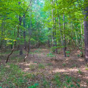 Photo #5 of 55 Mecklenburg Street, Victoria, VA 55.5 acres