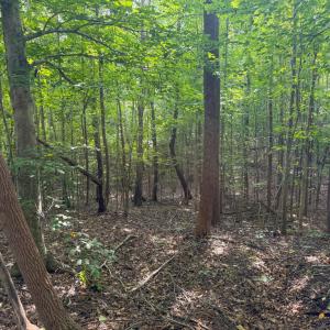 Photo #7 of 55 Mecklenburg Street, Victoria, VA 55.5 acres