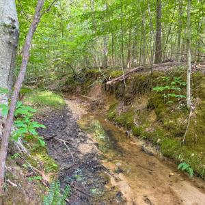 Photo #9 of 55 Mecklenburg Street, Victoria, VA 55.5 acres