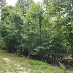 Photo #2 of Chestnut Road, Nathalie, VA 53.3 acres
