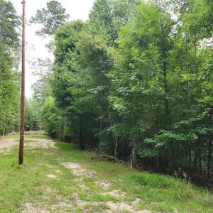 Photo #3 of Chestnut Road, Nathalie, VA 53.3 acres