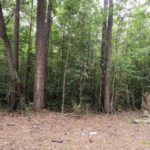 Photo #7 of Chestnut Road, Nathalie, VA 53.3 acres