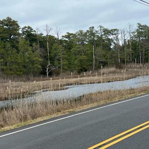 Photo #3 of MAIN ST, CHINCOTEAGUE, VA 0.4 acres