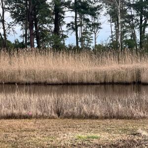 Photo #4 of MAIN ST, CHINCOTEAGUE, VA 0.4 acres