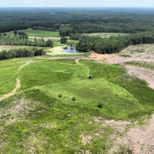 Photo #10 of 175 AC Tomlinson Road, Victoria, VA 175.0 acres
