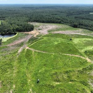 Photo #11 of 175 AC Tomlinson Road, Victoria, VA 175.0 acres
