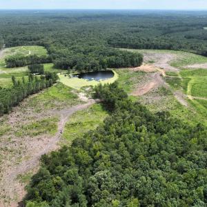Photo #12 of 175 AC Tomlinson Road, Victoria, VA 175.0 acres