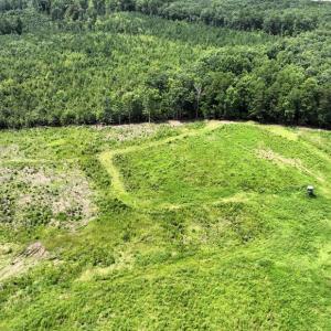 Photo #13 of 175 AC Tomlinson Road, Victoria, VA 175.0 acres