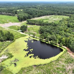 Photo #14 of 175 AC Tomlinson Road, Victoria, VA 175.0 acres