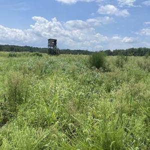 Photo #15 of 175 AC Tomlinson Road, Victoria, VA 175.0 acres