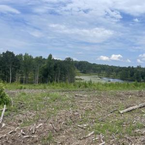 Photo #18 of 175 AC Tomlinson Road, Victoria, VA 175.0 acres