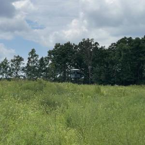 Photo #19 of 175 AC Tomlinson Road, Victoria, VA 175.0 acres
