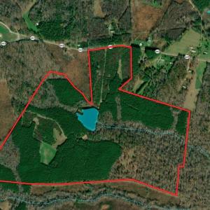 Photo #2 of 175 AC Tomlinson Road, Victoria, VA 175.0 acres