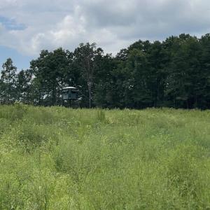 Photo #20 of 175 AC Tomlinson Road, Victoria, VA 175.0 acres
