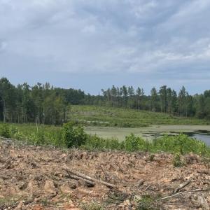 Photo #21 of 175 AC Tomlinson Road, Victoria, VA 175.0 acres