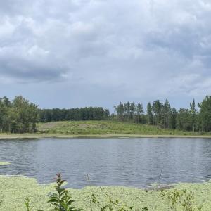 Photo #23 of 175 AC Tomlinson Road, Victoria, VA 175.0 acres