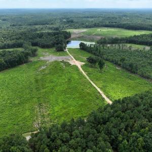 Photo #3 of 175 AC Tomlinson Road, Victoria, VA 175.0 acres