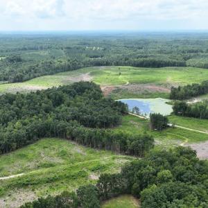Photo #4 of 175 AC Tomlinson Road, Victoria, VA 175.0 acres