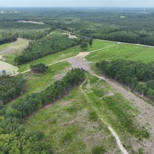 Photo #5 of 175 AC Tomlinson Road, Victoria, VA 175.0 acres