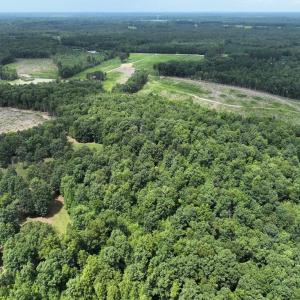 Photo #6 of 175 AC Tomlinson Road, Victoria, VA 175.0 acres