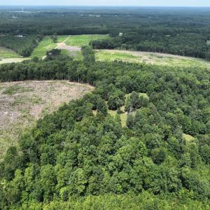 Photo #7 of 175 AC Tomlinson Road, Victoria, VA 175.0 acres