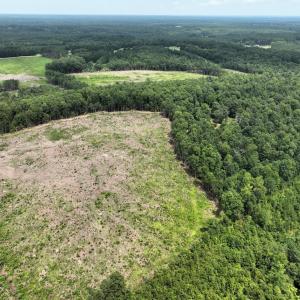 Photo #8 of 175 AC Tomlinson Road, Victoria, VA 175.0 acres
