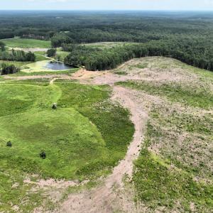 Photo #9 of 175 AC Tomlinson Road, Victoria, VA 175.0 acres