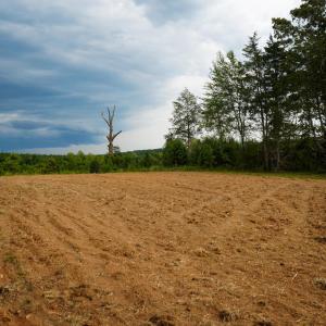 Photo #10 of Sweden Fork Creek Lane, Chatham, VA 201.0 acres