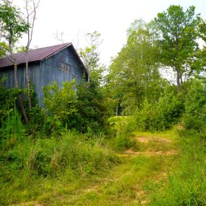 Photo #11 of Sweden Fork Creek Lane, Chatham, VA 201.0 acres
