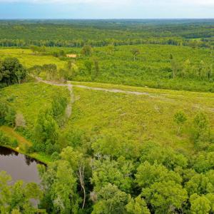 Photo #12 of Sweden Fork Creek Lane, Chatham, VA 201.0 acres