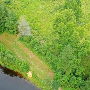 Photo #14 of Sweden Fork Creek Lane, Chatham, VA 201.0 acres
