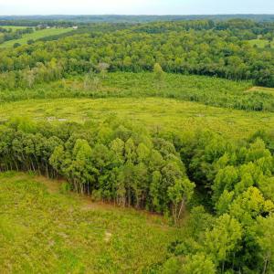 Photo #15 of Sweden Fork Creek Lane, Chatham, VA 201.0 acres