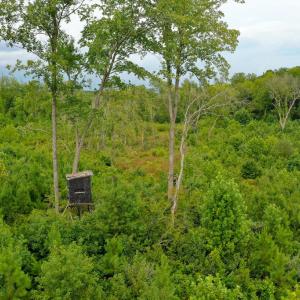 Photo #16 of Sweden Fork Creek Lane, Chatham, VA 201.0 acres