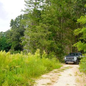 Photo #18 of Sweden Fork Creek Lane, Chatham, VA 201.0 acres